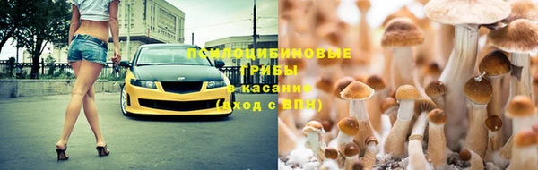стафф Нягань