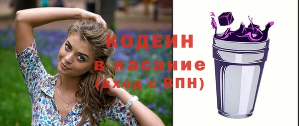 спайс Няндома