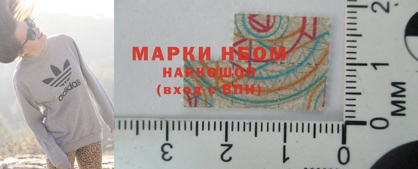 спайс Няндома