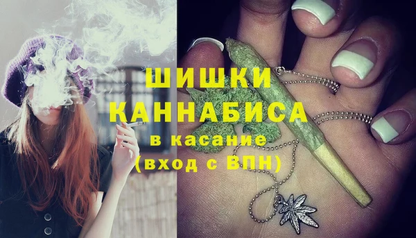 стафф Нягань