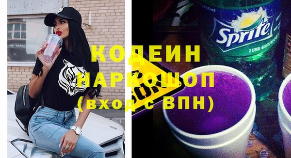 спайс Няндома