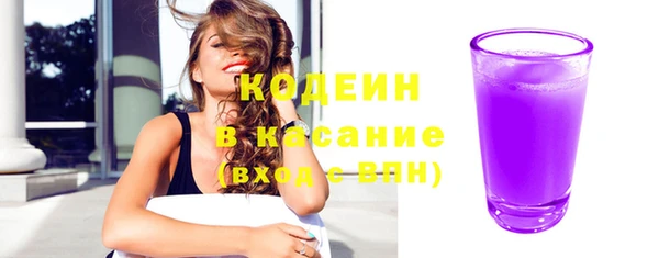 спайс Няндома