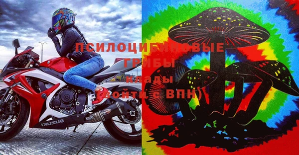 спайс Няндома
