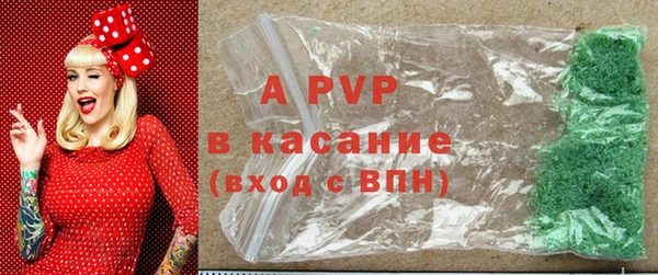спайс Няндома